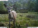 Infrared Digital Video Camera Hunting Forces Darkness Figures Hunting