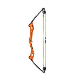 Bear Archery Apprentice Youth Bow SetORG RH